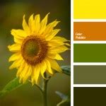 army green | Color Palette Ideas
