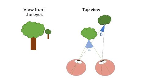 Optician Online - CPD Archive