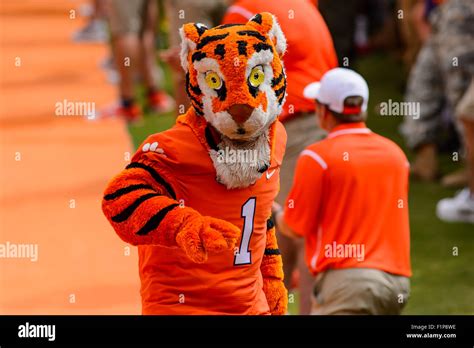 Clemson Tiger mascot in action during the NCAA Football game between ...