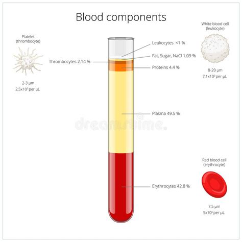 Blood serum common types stock vector. Illustration of icteric - 41307347