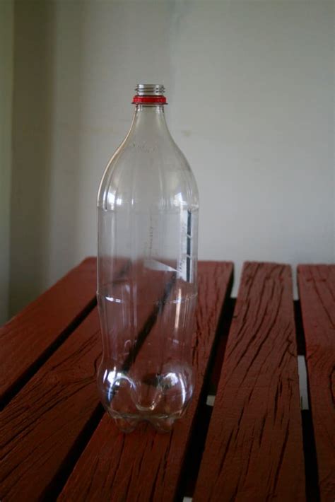 How to Make a Homemade Fly Trap with a Regular Plastic Bottle - Clean ...