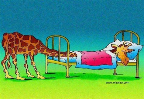 Sleeping giraffe cartoon | Funny giraffe pictures, Funny giraffe ...