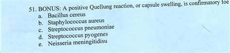 SOLVED: BONUS: A positive Quellung reaction, or capsule swelling, is ...