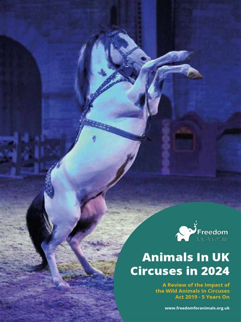 Circuses Lives left behind Full report June2024 | PDF | Circus | Animal Welfare