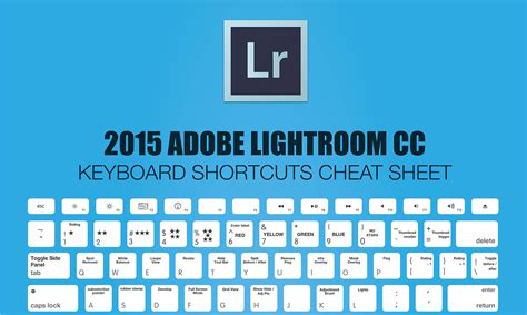 2018 Adobe Lightroom Keyboard Shortcuts Cheat Sheet | Lightroom, Lightroom tutorial