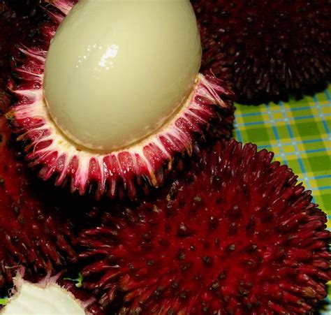 Buah (fruit) pulasan photo – Best recipes, foods and travel