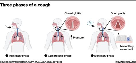 The science of why you cough, when it’s good for you and when it’s not