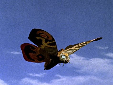 How Mothra introduced a new breed of kaiju creature feature