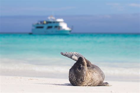 How a Scuba Diving Liveaboard Changed the Rest of My Life | Scuba Diving