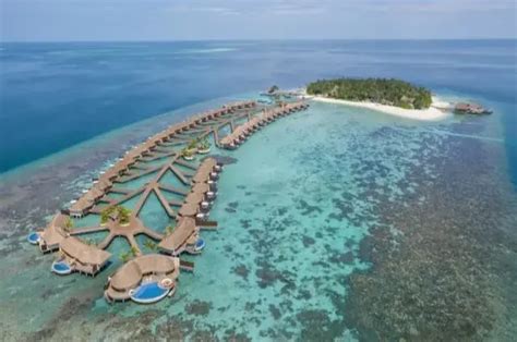 W Maldives Hotel & Resort Packages 2024/25