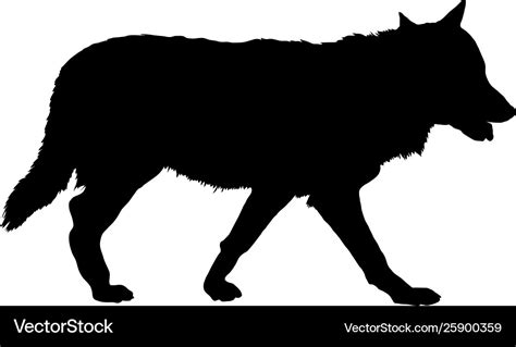 Wolf silhouette Royalty Free Vector Image - VectorStock