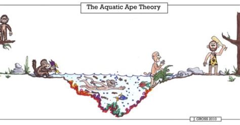 Aquatic Ape Theory - your thoughts? - GirlsAskGuys