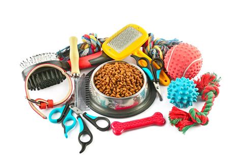 10 Amazon’s Inexpensive Pet Supplies (Under $21) – Animal Encyclopedia