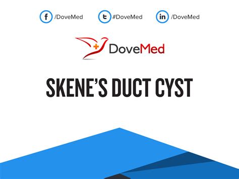 Skene's Duct Cyst