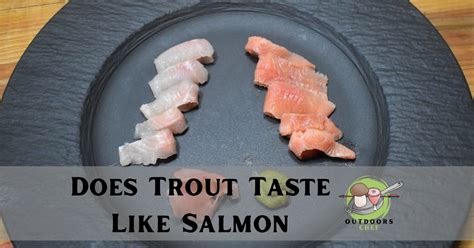 Does Trout Taste Like Salmon (Explained) - OutdoorsChef