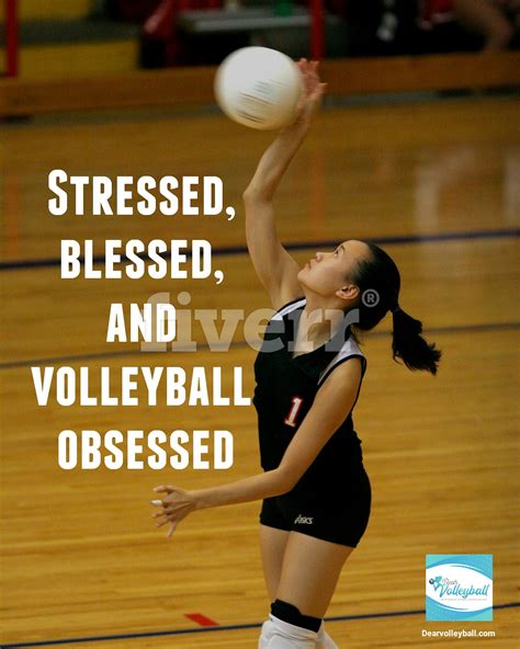 37 Volleyball Motivational Quotes and Images That Inspire Success