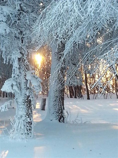 Beautiful Manitoba Winter. Canada Canada Eh, Manitoba, Saskatchewan ...