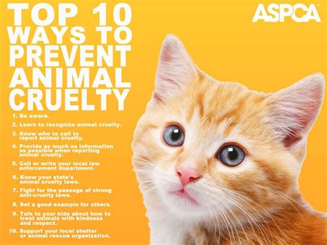 ASPCA is a wonderful humane organization that has been helping animals and fights to prevent ...