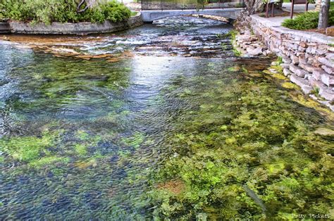 Giant Springs State Park | Giant Springs State Park marks th… | Flickr