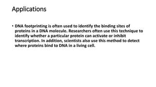 Dna footprinting | PPT | Free Download