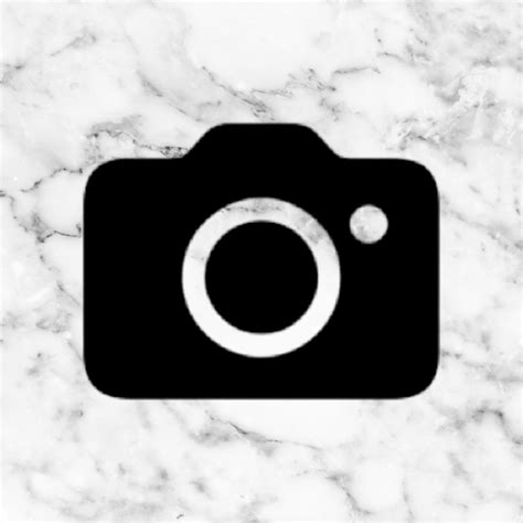 Camera Icon Aesthetic Grey Marble