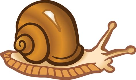 Snail Clip art - snails png download - 4000*2362 - Free Transparent Snail png Download. - Clip ...
