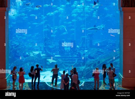 United Arab Emirates, Dubai, Atlantis Palm hotel, aquarium Stock Photo - Alamy