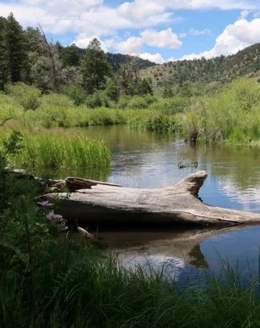 Cimarron Canyon State Park - Go Wandering