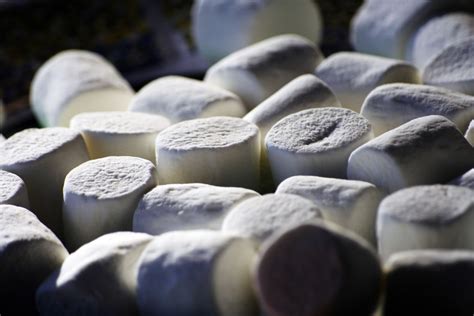 Marshmallows | A zillion marshmallows serve a building block… | Flickr