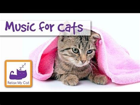 Music for Cats - 30 minutes - Relaxing Music for Cats and Kittens ...