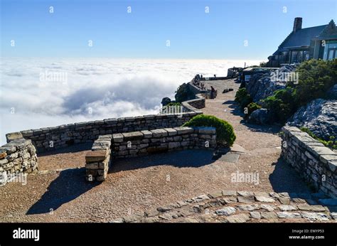 Table Mountain café restaurant, Cape Town, upper station, with a carpet ...