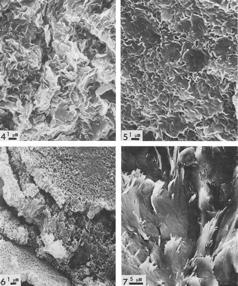 Figure 3 from Morphology of Clay Minerals in the Smectite-to-Illite ...