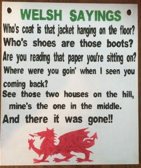 Funny Welsh Sayings Wooden Hand Painted Plaque - Etsy UK | Welsh ...