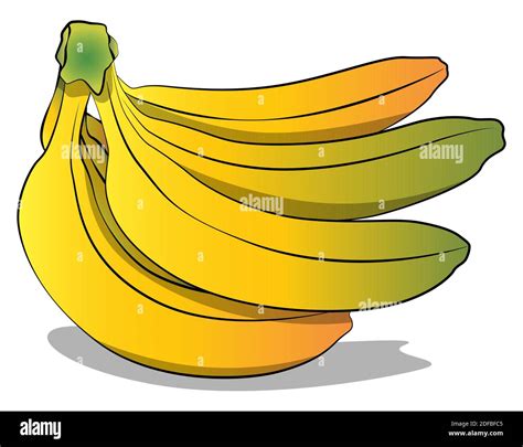 Banana cluster Stock Vector Images - Alamy