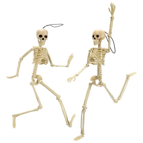 Kajiali 1/2/5PCS Halloween Horror Skeleton Model Bone Simulation ...