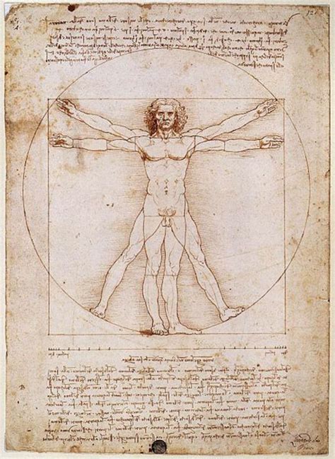 Leonardo Da Vinci's "Vitruvian Man" Explained - Owlcation