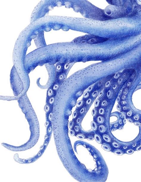 Blue Octopus Watercolor Illustration Archival Art Print 'Tentacles' Coastal Decor Artwork | Art ...