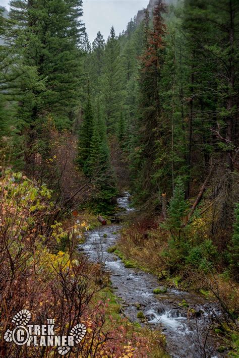 Temple Fork Sawmill - Logan Canyon | Best hikes, Utah, Canyon