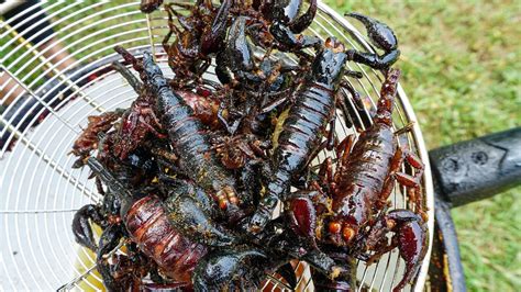 Scorpion Fried for #shorts - Local Food Of Thailand - YouTube