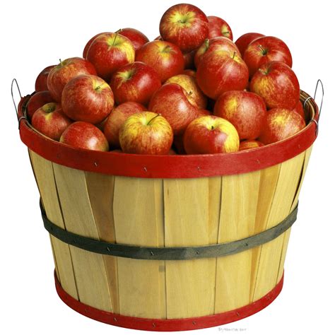 Apple Cider Png - PNG Image Collection