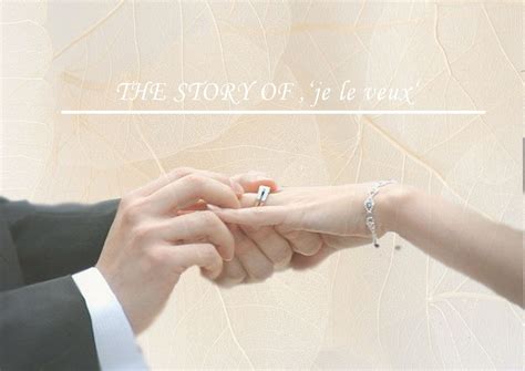 THE STORY OF 'je le veux' on Behance