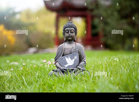 An Incredible Collection of Full 4K Peace Buddha Images: Over 999 ...