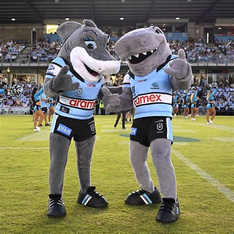 Cronulla Sharks on Twitter: "Reefy had a great time last night ...