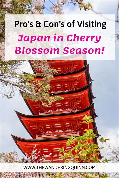 Pro’s & Con’s of Visiting Japan in Cherry Blossom Season! - The ...