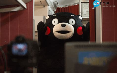 Kumamon GIF - Find & Share on GIPHY