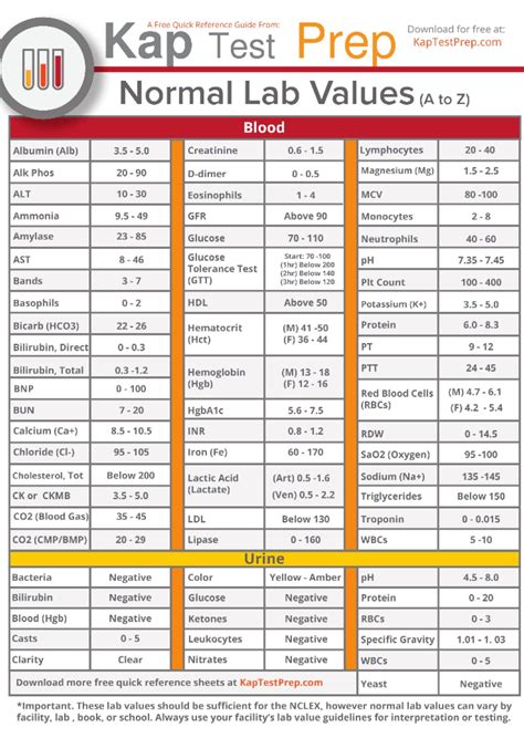 Interpretation Of Lab Results For Nurses