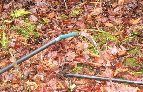 Dealing with Low Pressure Water – Snakeroot Organic Farm