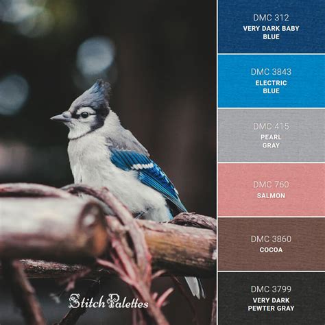 Blue Jay On Tree - Embroidery Color Palette (With Thread Codes)