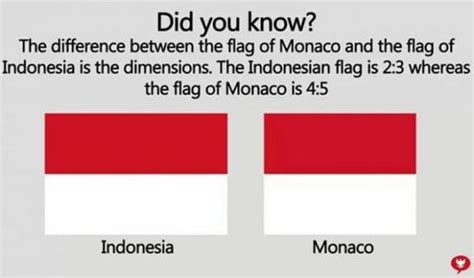 Is it true that the red and white Indonesian flag was inspired by the ...