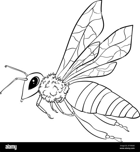 Honey bee cartoon coloring book hi-res stock photography and images - Alamy